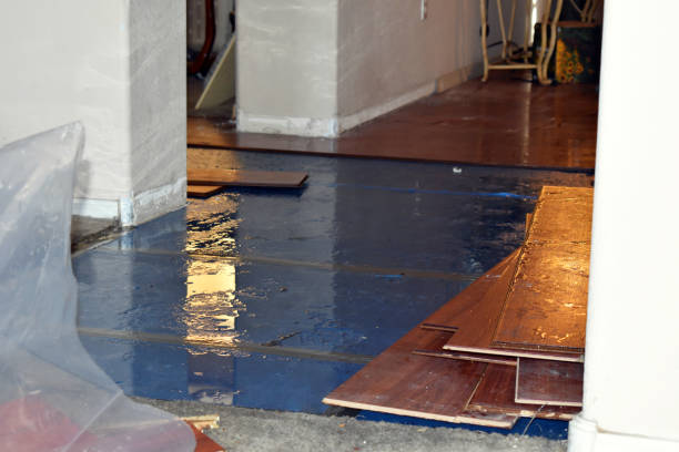 Professional Water Damage Restoration technician working in Rye, TX